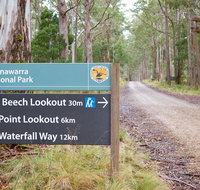 Beech lookout - Maitland Accommodation
