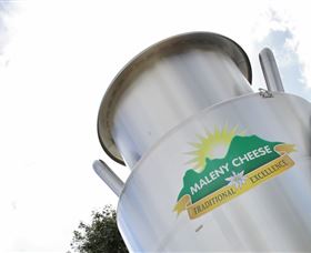 Maleny Cheese - Maitland Accommodation 1