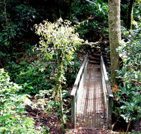 Richmond Range National Park - Maitland Accommodation