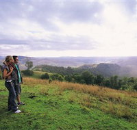 Mallanganee Lookout - Maitland Accommodation