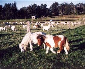Trudgalong Farm - Maitland Accommodation 0