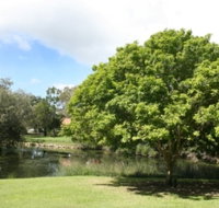 Hervey Bay Botanic Gardens - Maitland Accommodation