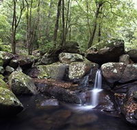 Kangaroo River - Maitland Accommodation
