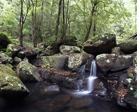 Kangaroo River - Maitland Accommodation 0