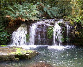Barrington Tops National Park Walks - Maitland Accommodation 0