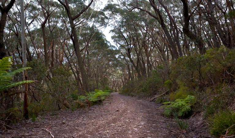 Yadboro NSW Maitland Accommodation