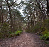 Budawang National Park - Maitland Accommodation