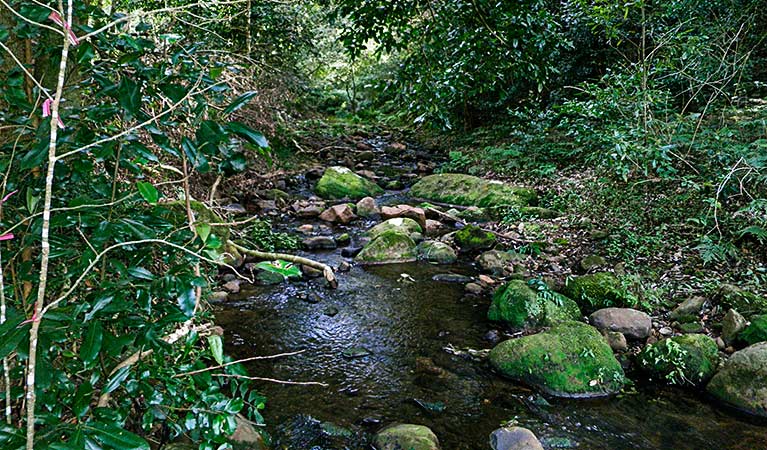 Macquarie Pass NSW Maitland Accommodation