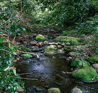 Macquarie Pass National Park - Maitland Accommodation