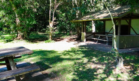 Moore Park Picnic Area - Maitland Accommodation 2
