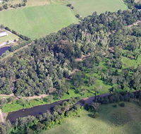 Moore Park Nature Reserve - Maitland Accommodation