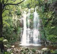 Budderoo National Park - The Falls Walk - Maitland Accommodation