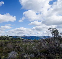 Barren Grounds Nature Reserve - Maitland Accommodation