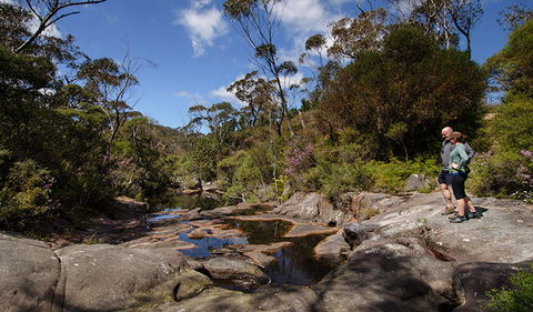 Barren Grounds Nature Reserve - Maitland Accommodation 1