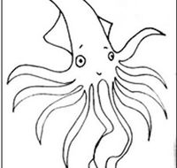 Squid Studio - Maitland Accommodation