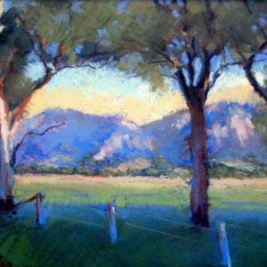 Galleries In The Gardens - Maitland Accommodation 4