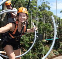 Wild Ropes at Taronga Zoo - Maitland Accommodation