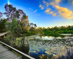 Berrinba Wetlands - Maitland Accommodation 0