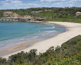 Catherine Hill Bay Beach - Maitland Accommodation 1