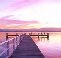Lake Illawarra - Maitland Accommodation