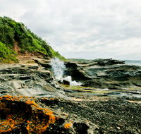 Glenrock State Conservation Area - Maitland Accommodation