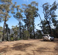 Wadbilliga Road drive - Maitland Accommodation