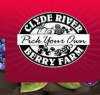 Clyde River Berry Farm - Maitland Accommodation