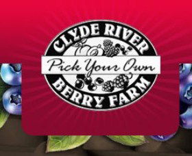 Clyde River Berry Farm - Maitland Accommodation 0