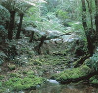The Corn Trail Walk - Maitland Accommodation