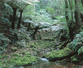 The Corn Trail Walk - Maitland Accommodation 0