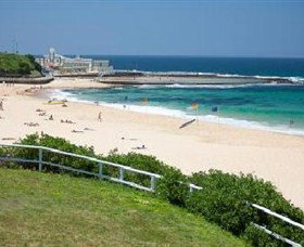 Newcastle Beach - Maitland Accommodation 1