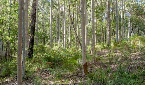 Corramy Regional Park - Maitland Accommodation 1