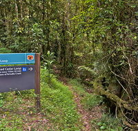 Red Cedar loop - Maitland Accommodation