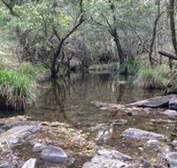Homeleigh - Maitland Accommodation