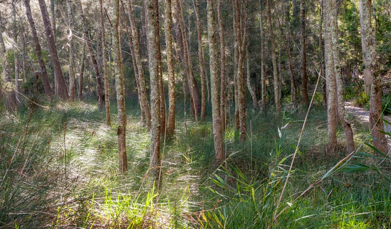 Boolijah NSW Maitland Accommodation