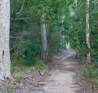 Delta track - Maitland Accommodation
