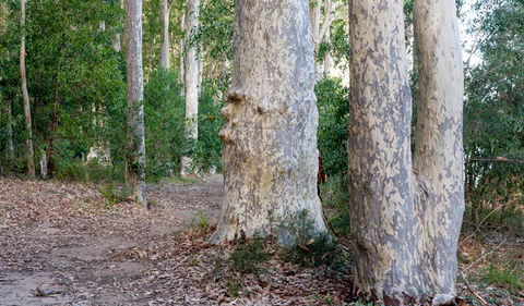 Delta Track - Maitland Accommodation 3
