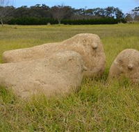Unreal Rocks Statue Gallery - Maitland Accommodation