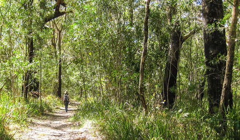 Seven Mile Beach National Park - Maitland Accommodation 2