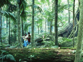 Binna Burra QLD Maitland Accommodation