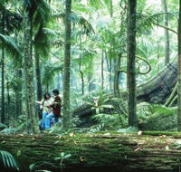 Illinbah circuit - Maitland Accommodation