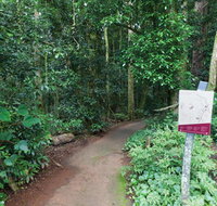 Walk with the Birds boardwalk - Maitland Accommodation