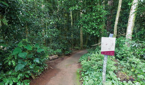 Walk With The Birds Boardwalk - Maitland Accommodation 0