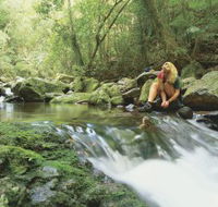 Dave's Creek circuit - Maitland Accommodation