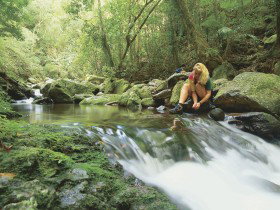 Dave's Creek Circuit - Maitland Accommodation 0