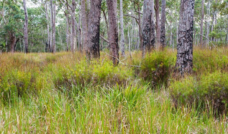 Croobyar ACT Maitland Accommodation