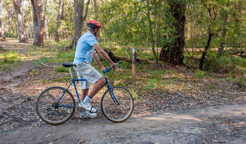 Monument Beach Ride From Bendalong - Maitland Accommodation 0