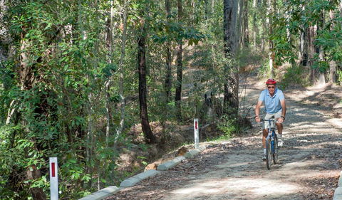 Monument Beach Ride From Bendalong - Maitland Accommodation 2