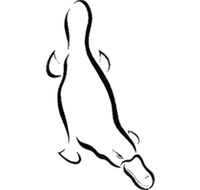 Platypus Gallery - Maitland Accommodation