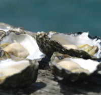 Jim Wilds Oyster Service - Maitland Accommodation